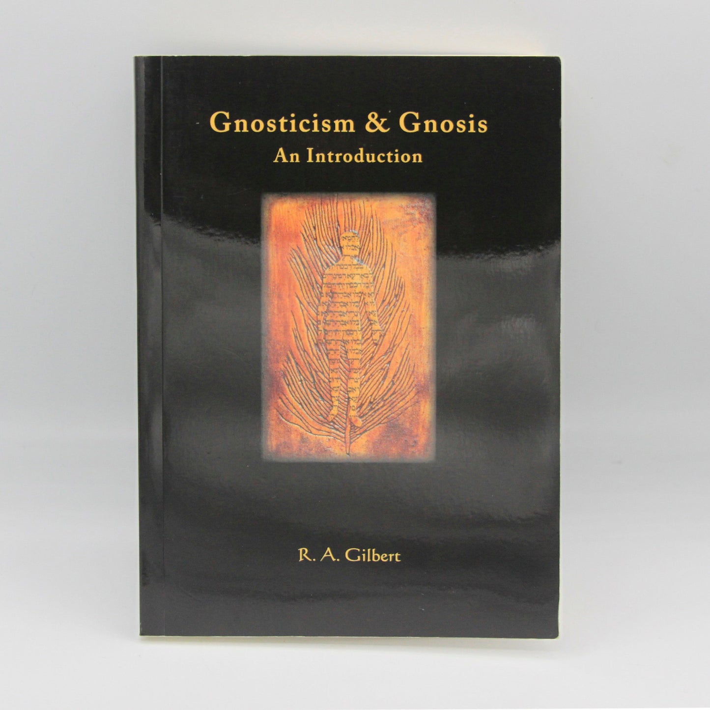 GNOSTICISM & GNOSIS – AN INTRODUCTION (P/B) by R. A. Gilbert